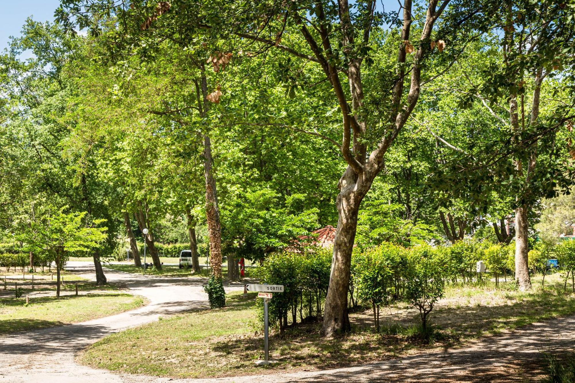 Camping Les Rives Du Lac De Vinca Eksteriør billede